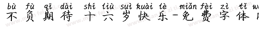 不负期待 十六岁快乐字体转换